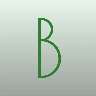 Бакни, автосервис, лого-визитка